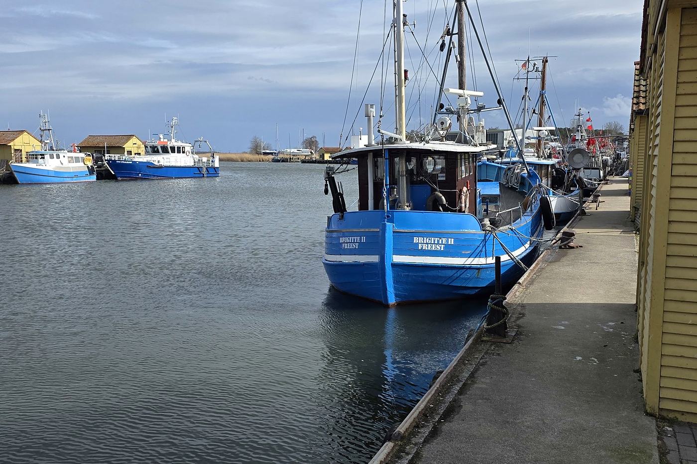 Fishing cutters in the harbour at Freest