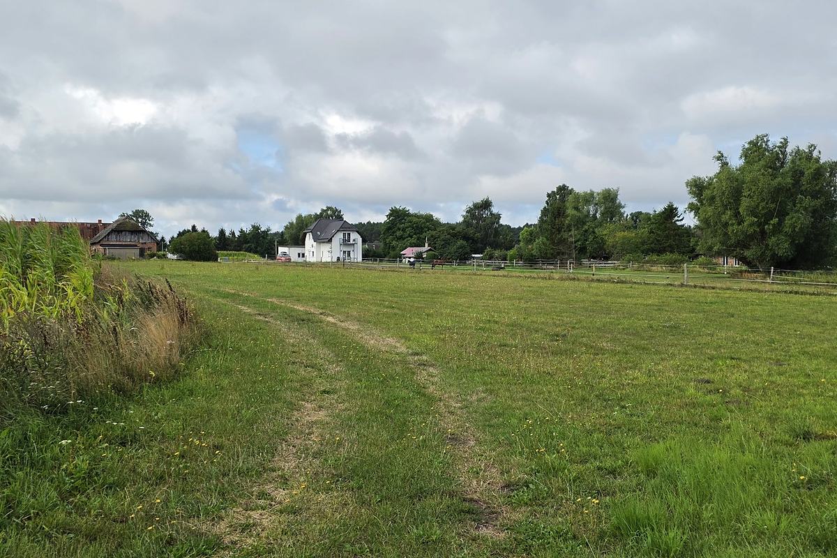 Meadow track towards the water